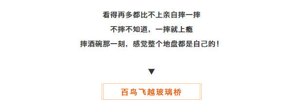 午夜熟女插插XX免费视频