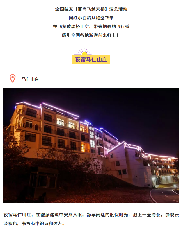 午夜熟女插插XX免费视频