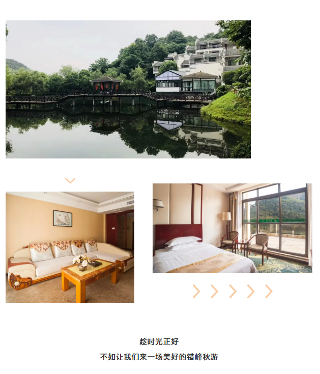 午夜熟女插插XX免费视频