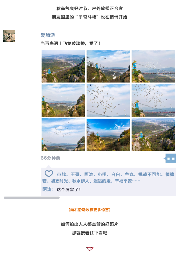 午夜熟女插插XX免费视频