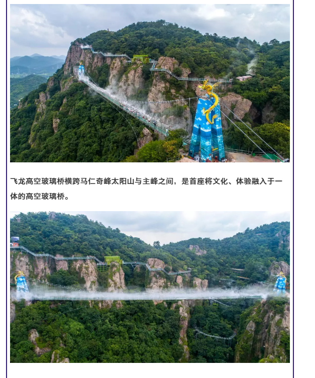 午夜熟女插插XX免费视频