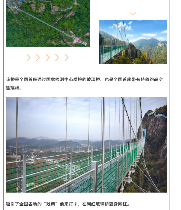 午夜熟女插插XX免费视频