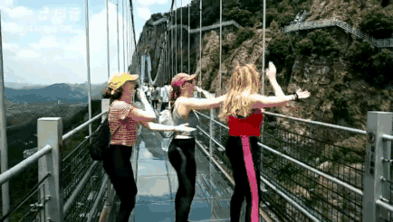 午夜熟女插插XX免费视频