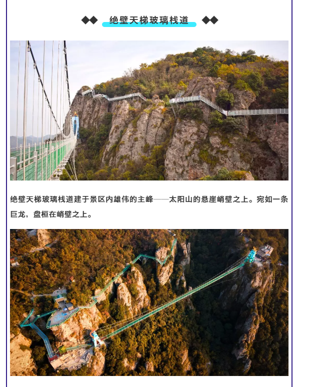 午夜熟女插插XX免费视频