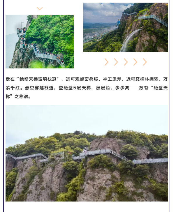 午夜熟女插插XX免费视频