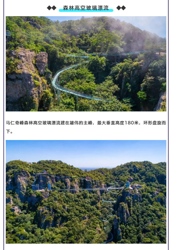 午夜熟女插插XX免费视频