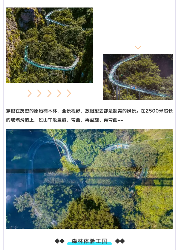 午夜熟女插插XX免费视频