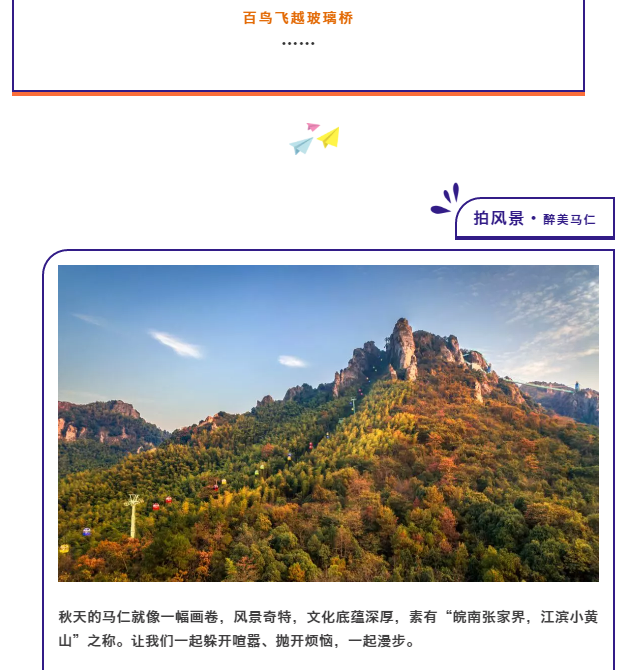 午夜熟女插插XX免费视频