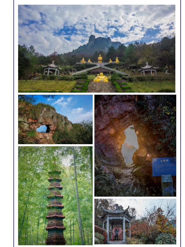 午夜熟女插插XX免费视频