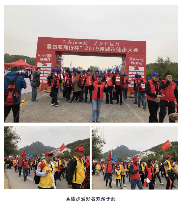 午夜熟女插插XX免费视频