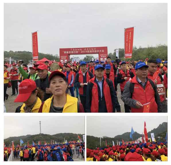 午夜熟女插插XX免费视频