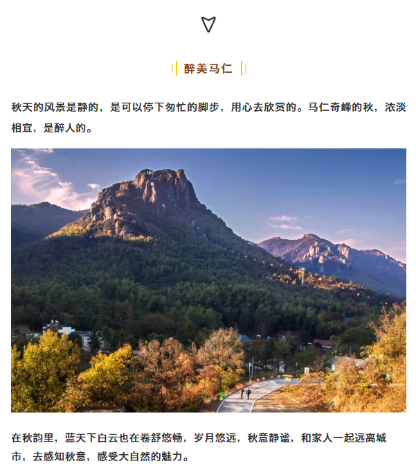 午夜熟女插插XX免费视频