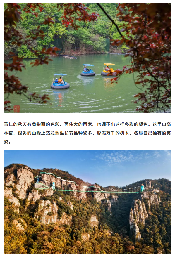 午夜熟女插插XX免费视频