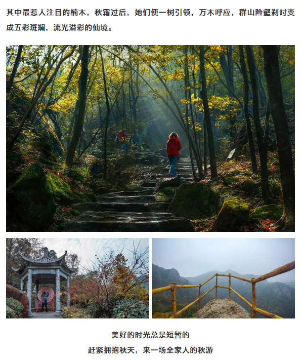 午夜熟女插插XX免费视频