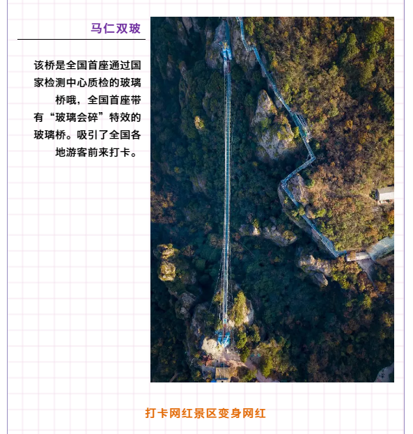 午夜熟女插插XX免费视频