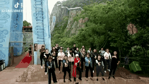 午夜熟女插插XX免费视频