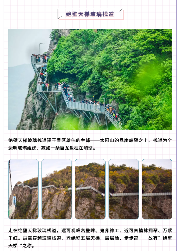 午夜熟女插插XX免费视频