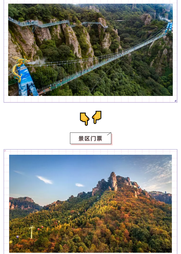 午夜熟女插插XX免费视频