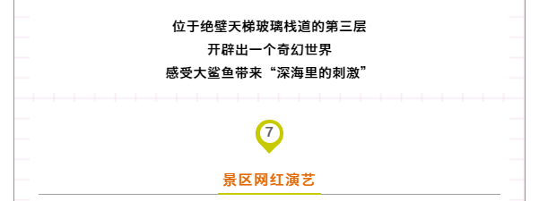 午夜熟女插插XX免费视频