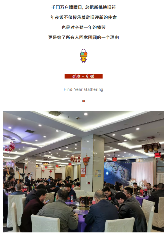 午夜熟女插插XX免费视频