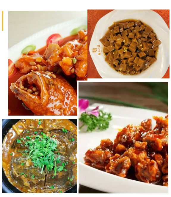 午夜熟女插插XX免费视频