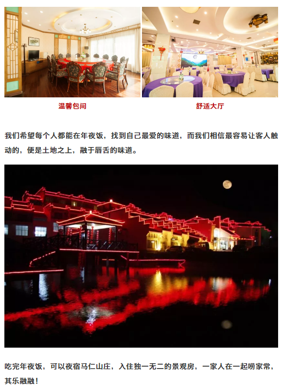 午夜熟女插插XX免费视频