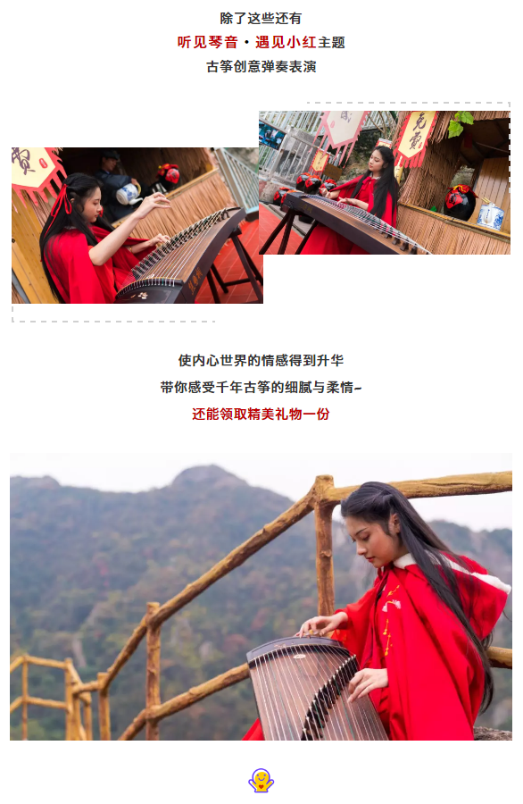 午夜熟女插插XX免费视频