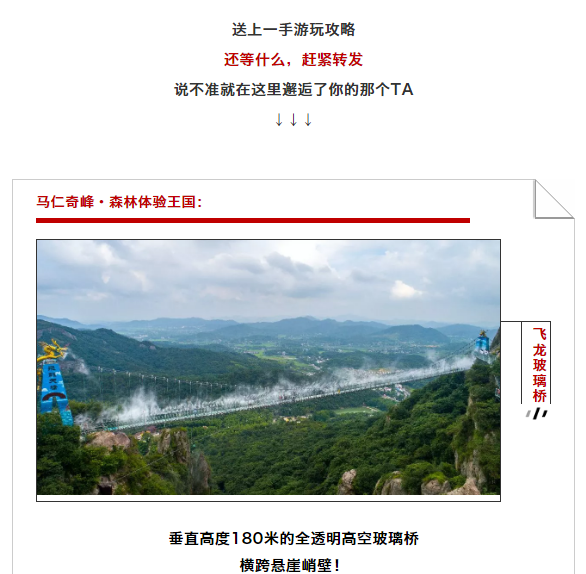 午夜熟女插插XX免费视频