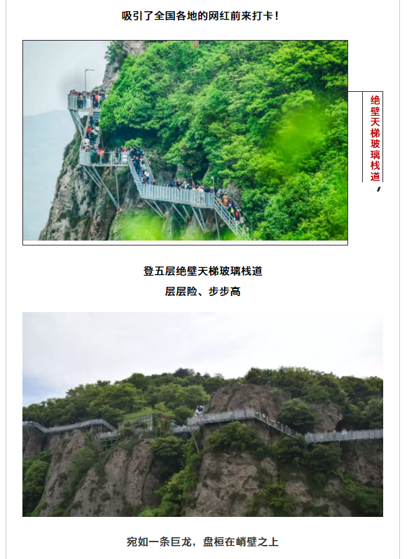 午夜熟女插插XX免费视频