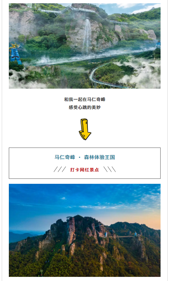 午夜熟女插插XX免费视频