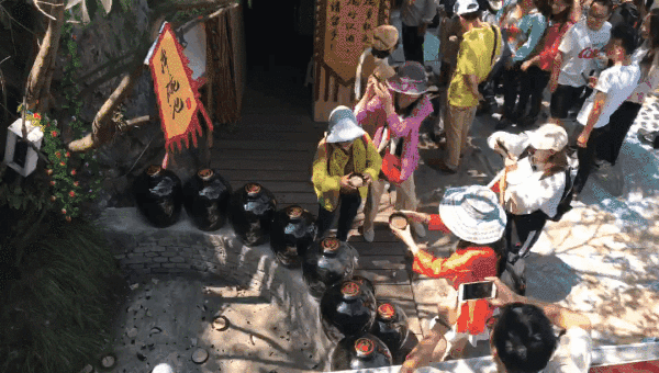 午夜熟女插插XX免费视频