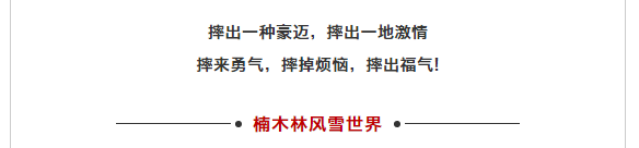 午夜熟女插插XX免费视频