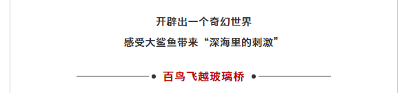 午夜熟女插插XX免费视频