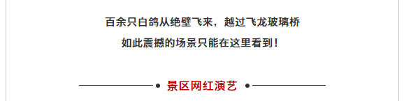 午夜熟女插插XX免费视频