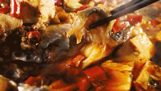 午夜熟女插插XX免费视频