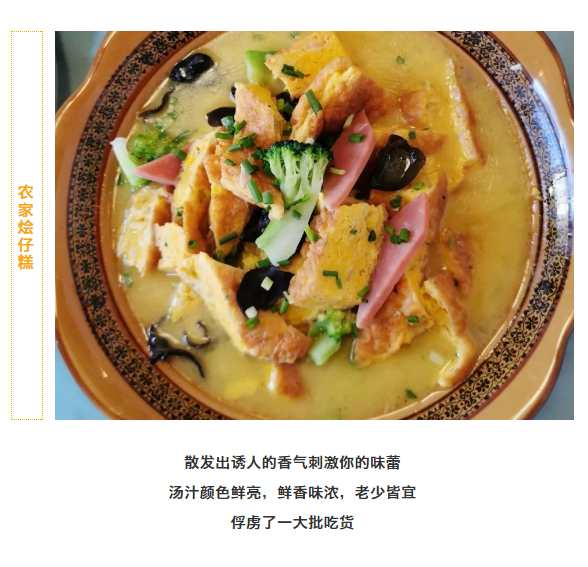 午夜熟女插插XX免费视频