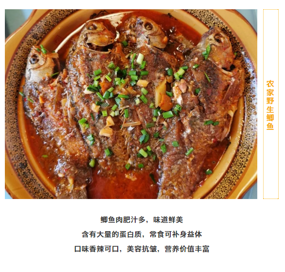 午夜熟女插插XX免费视频