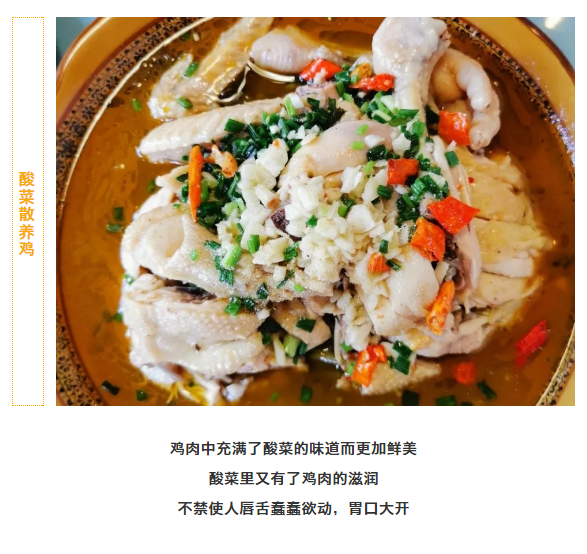 午夜熟女插插XX免费视频