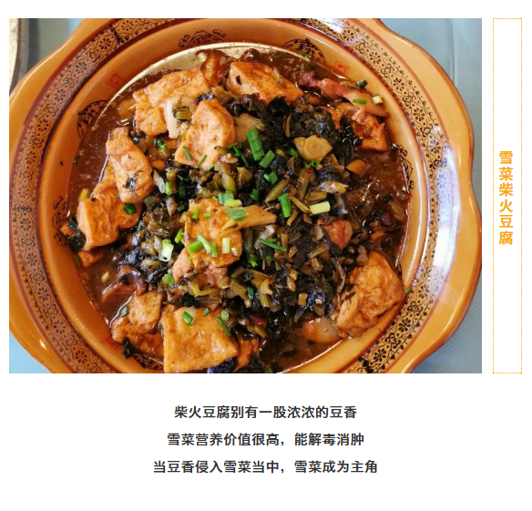 午夜熟女插插XX免费视频