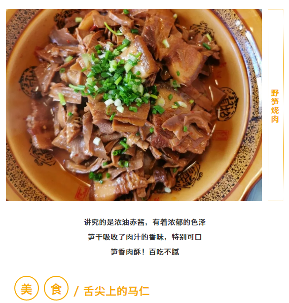 午夜熟女插插XX免费视频