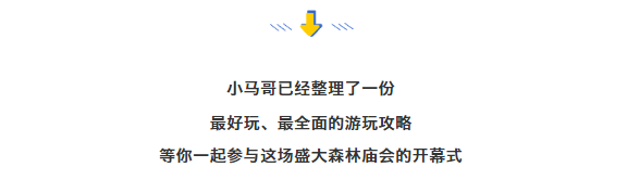 午夜熟女插插XX免费视频