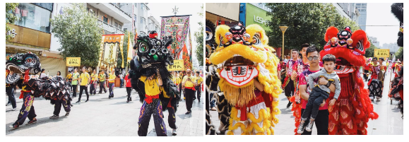 午夜熟女插插XX免费视频