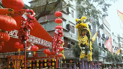 午夜熟女插插XX免费视频