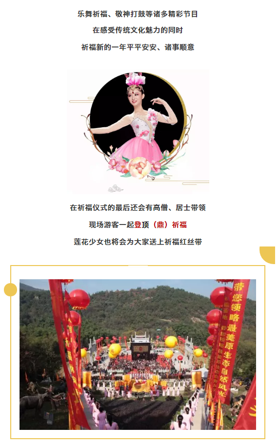 午夜熟女插插XX免费视频