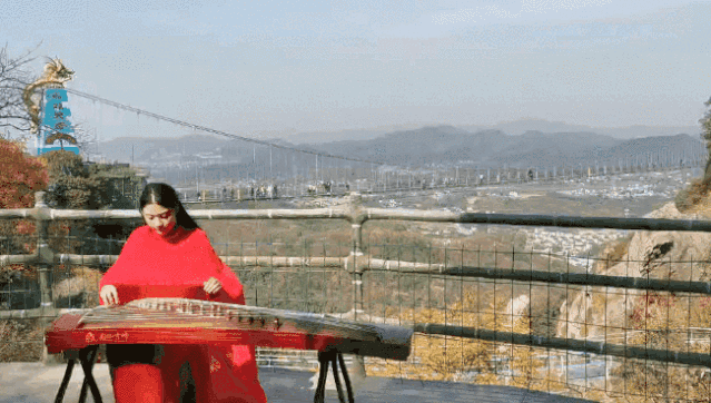 午夜熟女插插XX免费视频