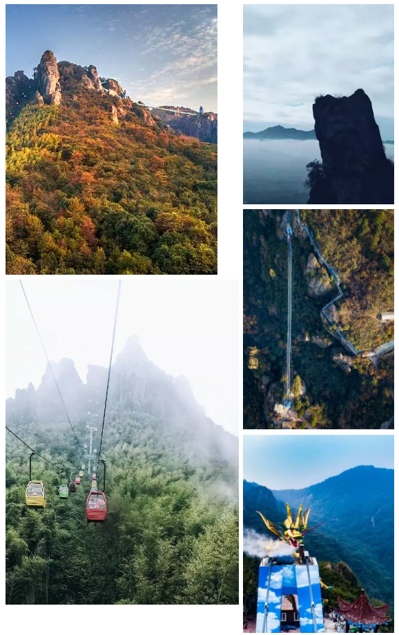 午夜熟女插插XX免费视频