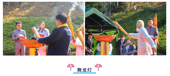 午夜熟女插插XX免费视频