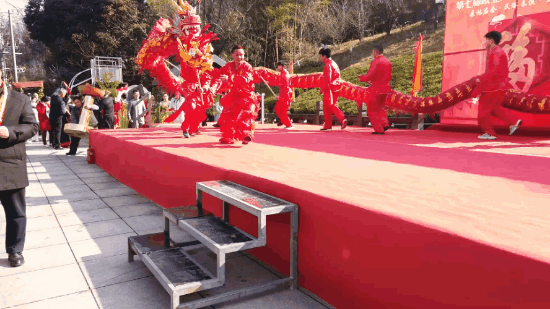 午夜熟女插插XX免费视频