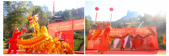 午夜熟女插插XX免费视频