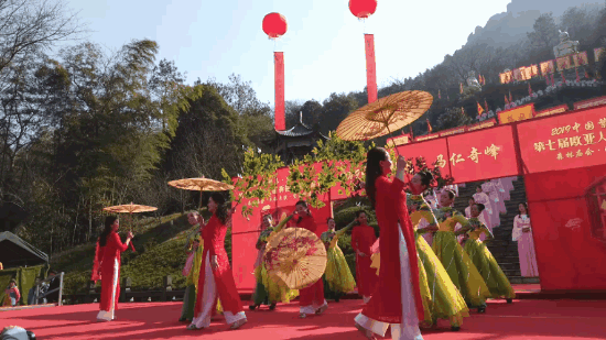 午夜熟女插插XX免费视频